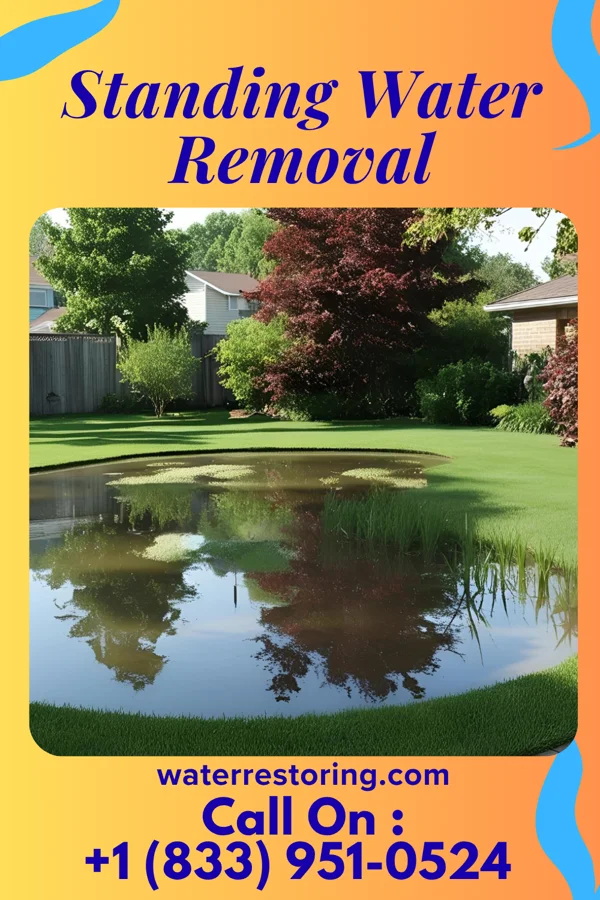 Standing Water Removal in Kent Estates, IA